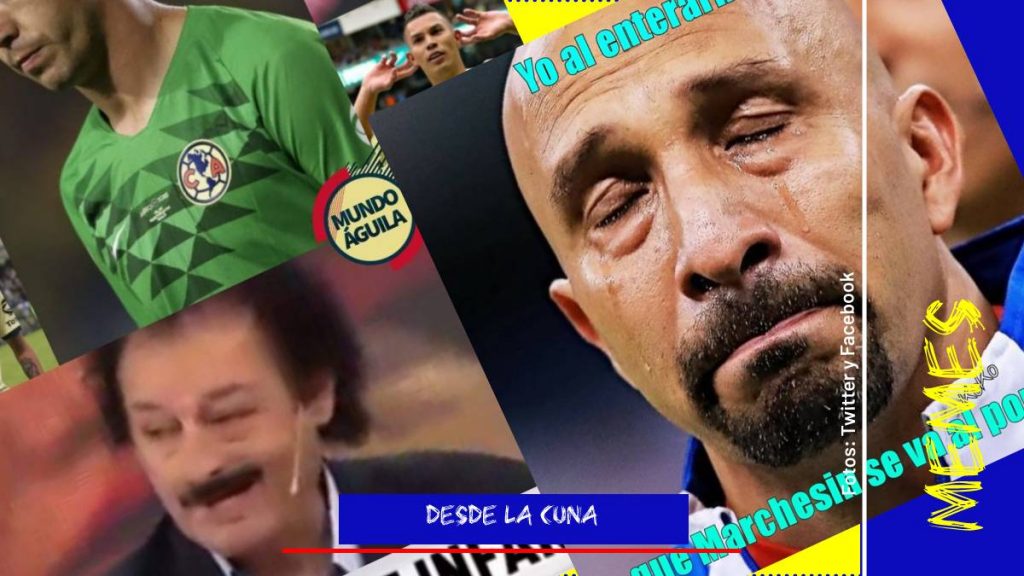 memes de marchesín