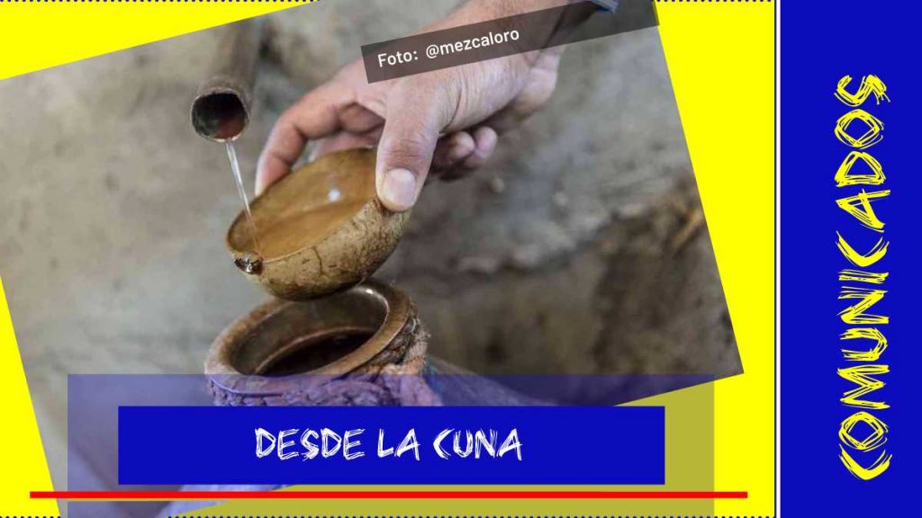 cómo reconocer un buen mezcal