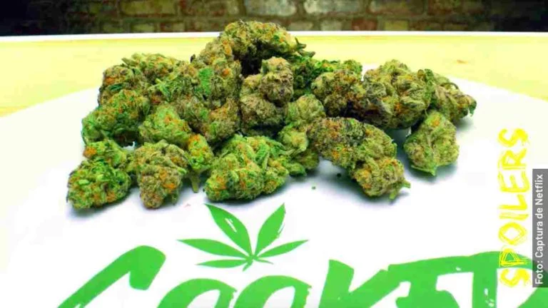 Quién es quién en El Ingrediente Secreto: Cannabis, serie de Netflix