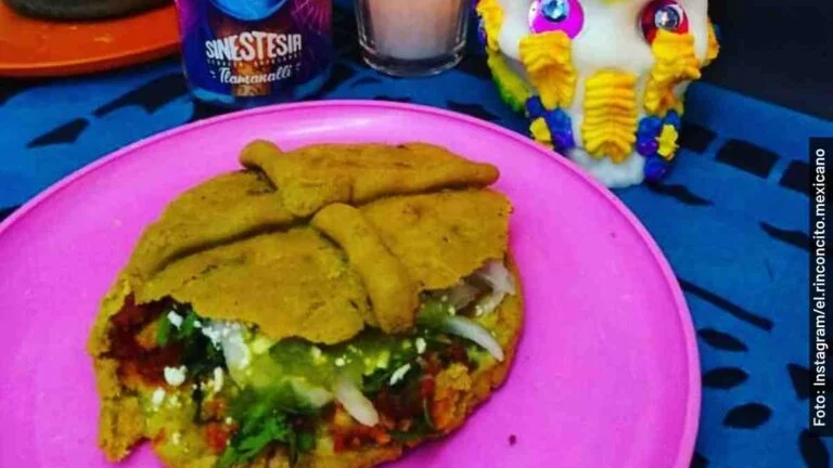 Qué son las gordimuertas y dónde las venden