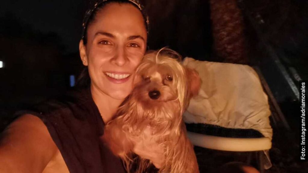 yola guerra de vecinos serie