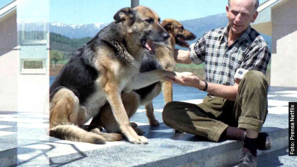 reparto colonia dignidad serie documental