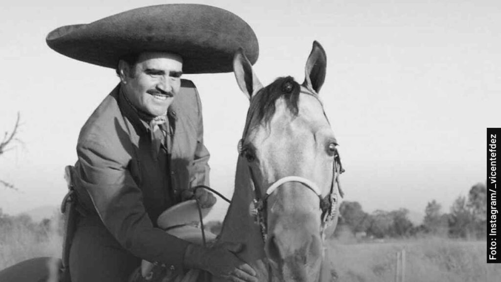actores el último rey serie vicente fernández