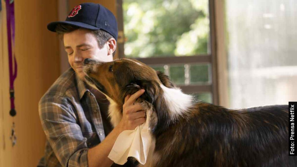actores el rescate de ruby película