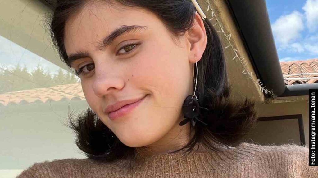 alejandra el último rey vicente fernández serie