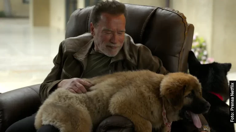 Reparto de Arnold, serie documental