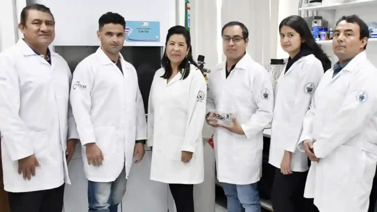 BUAP diseña biomaterial capaz de estimular la regeneración de tejido óseo