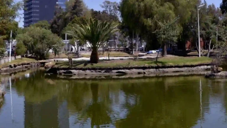 BUAP restaura laguna de Ciudad Universitaria