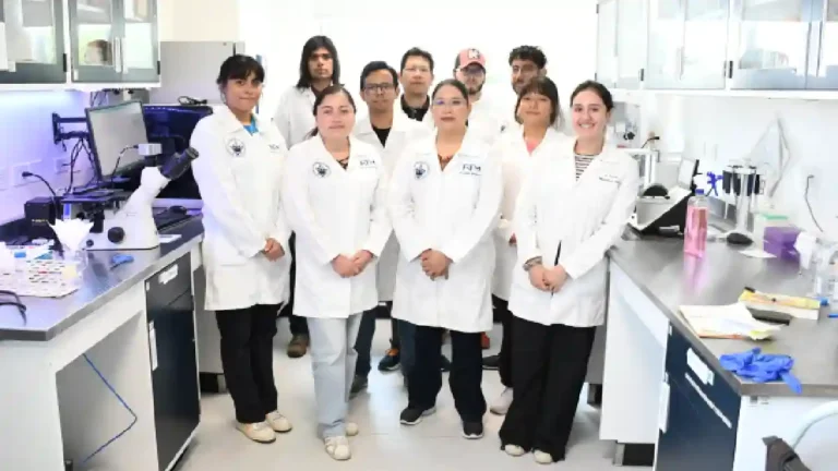 Desarrollan en la BUAP sensor microfluídico de papel para la detección de iones de arsénico