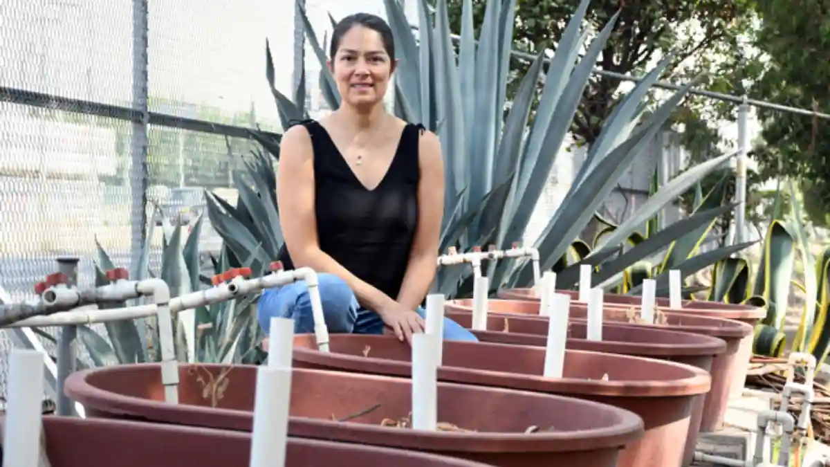 Humedales artificiales: eficientes y baratos para tratar aguas residuales