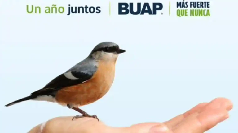 Gana BUAP Premio Reed Latino 2025