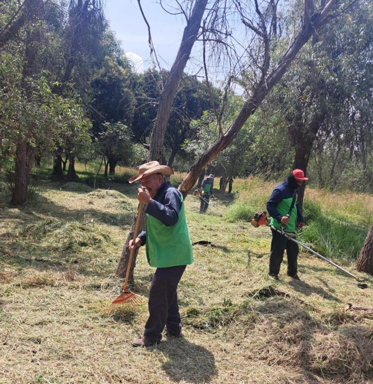 Gobierno de Morelia da mantenimiento a diversos puntos de la ciudad